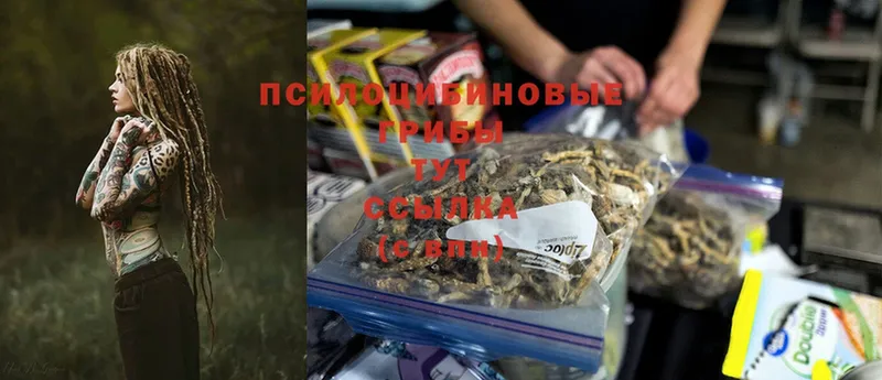 Галлюциногенные грибы MAGIC MUSHROOMS  наркошоп  Новочебоксарск 